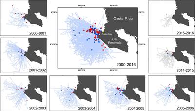 Decreases in encounter rate of endangered Northeast Pacific humpback whales in Southern Costa Rica: Possible changes in migration pattern due to warming events